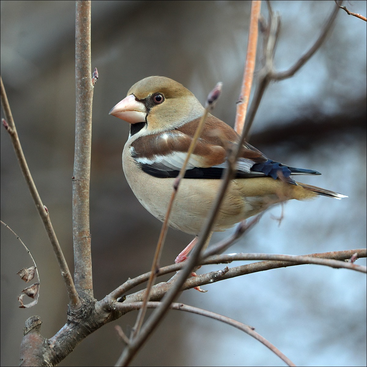 Stacks Image 73