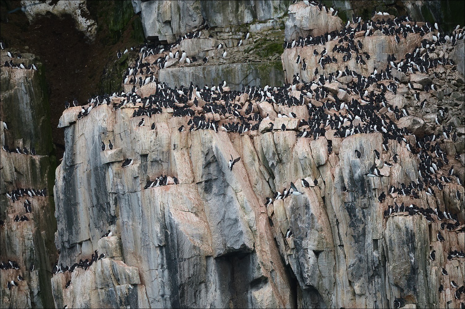 Svalbard scenery