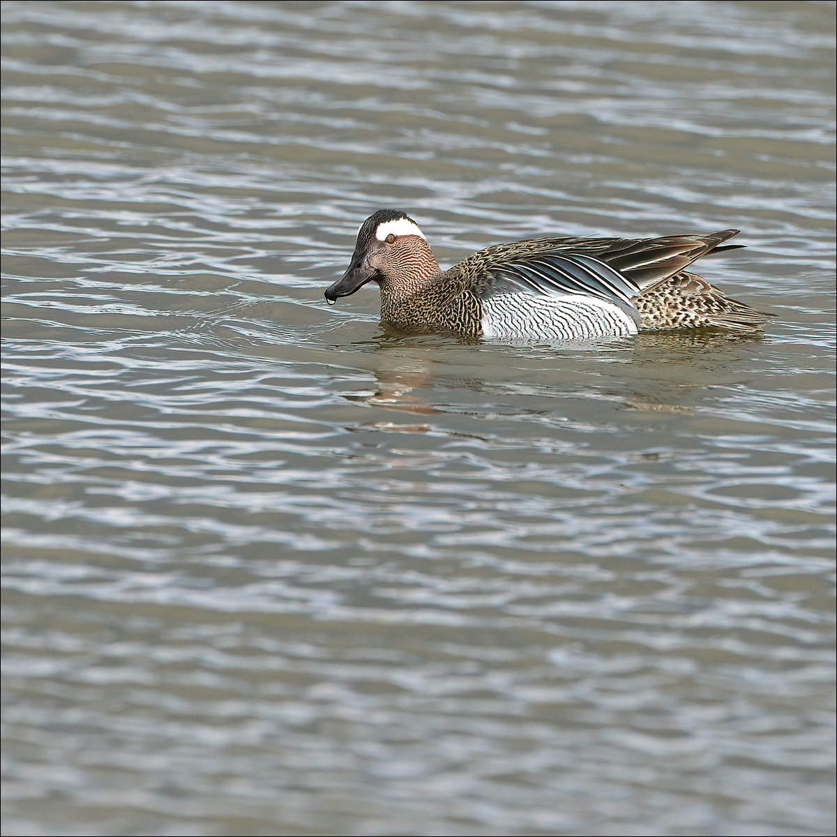 Stacks Image 82