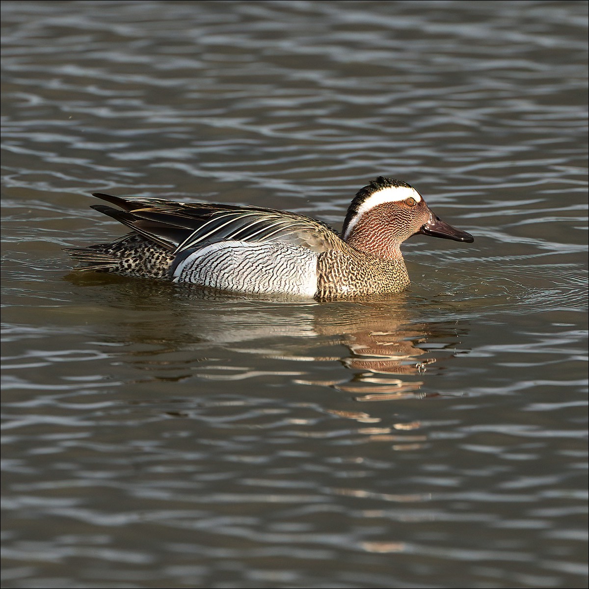 Stacks Image 80