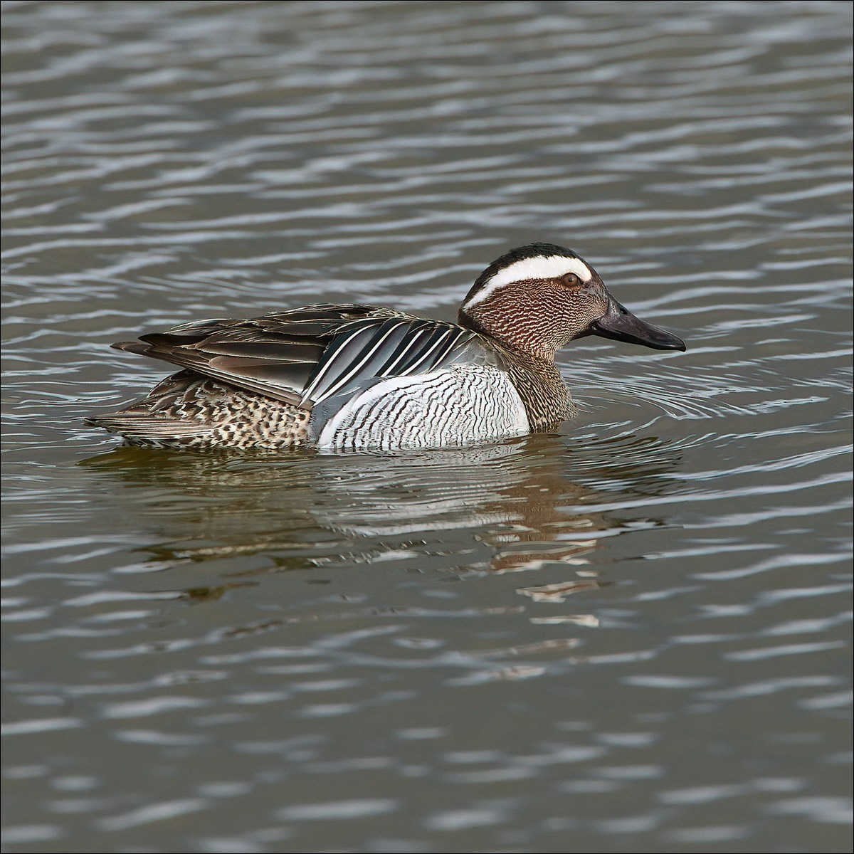 Stacks Image 106