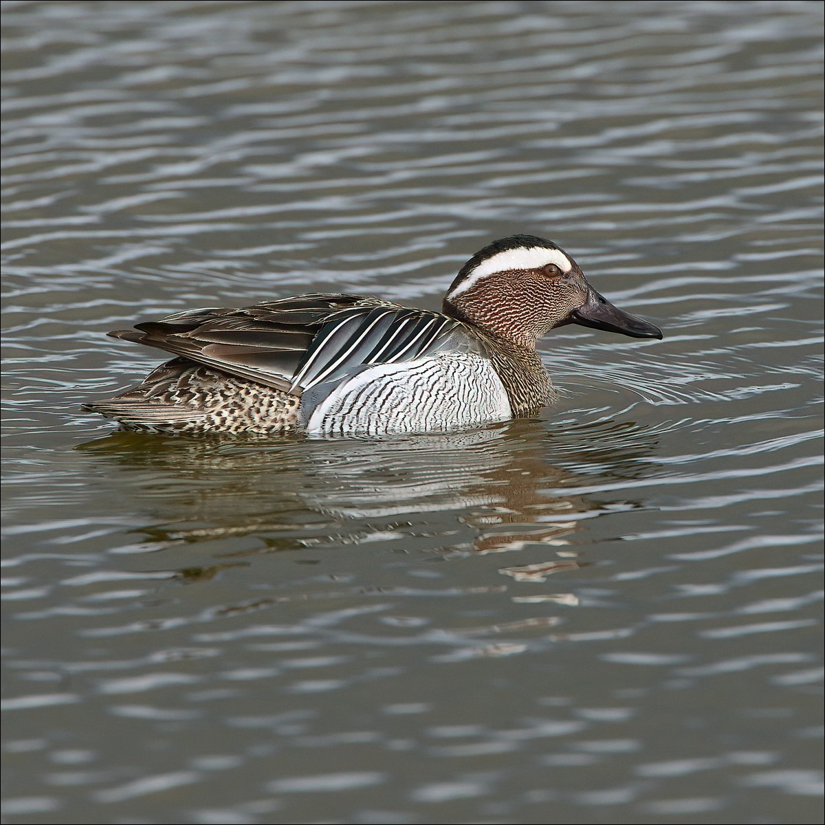 Stacks Image 106