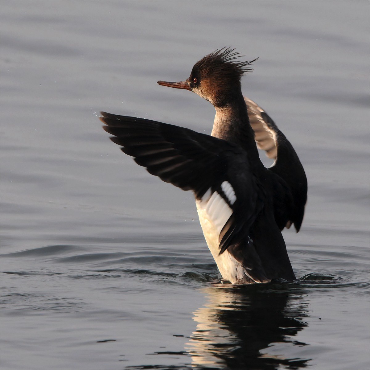 Stacks Image 128