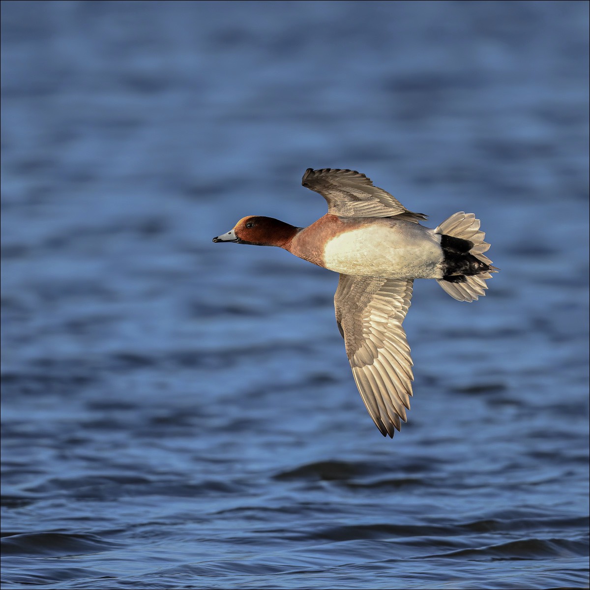 Stacks Image 156