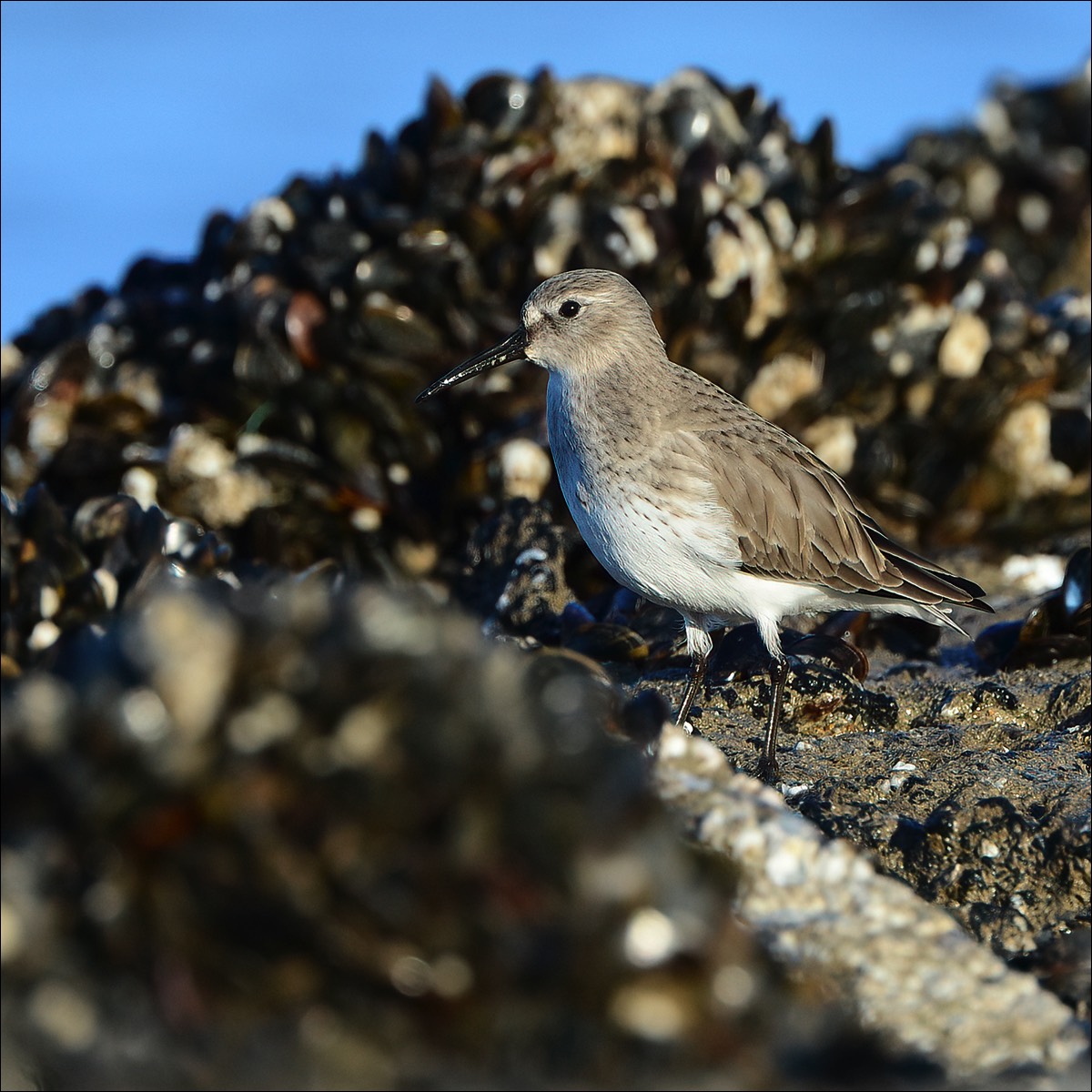 Stacks Image 116
