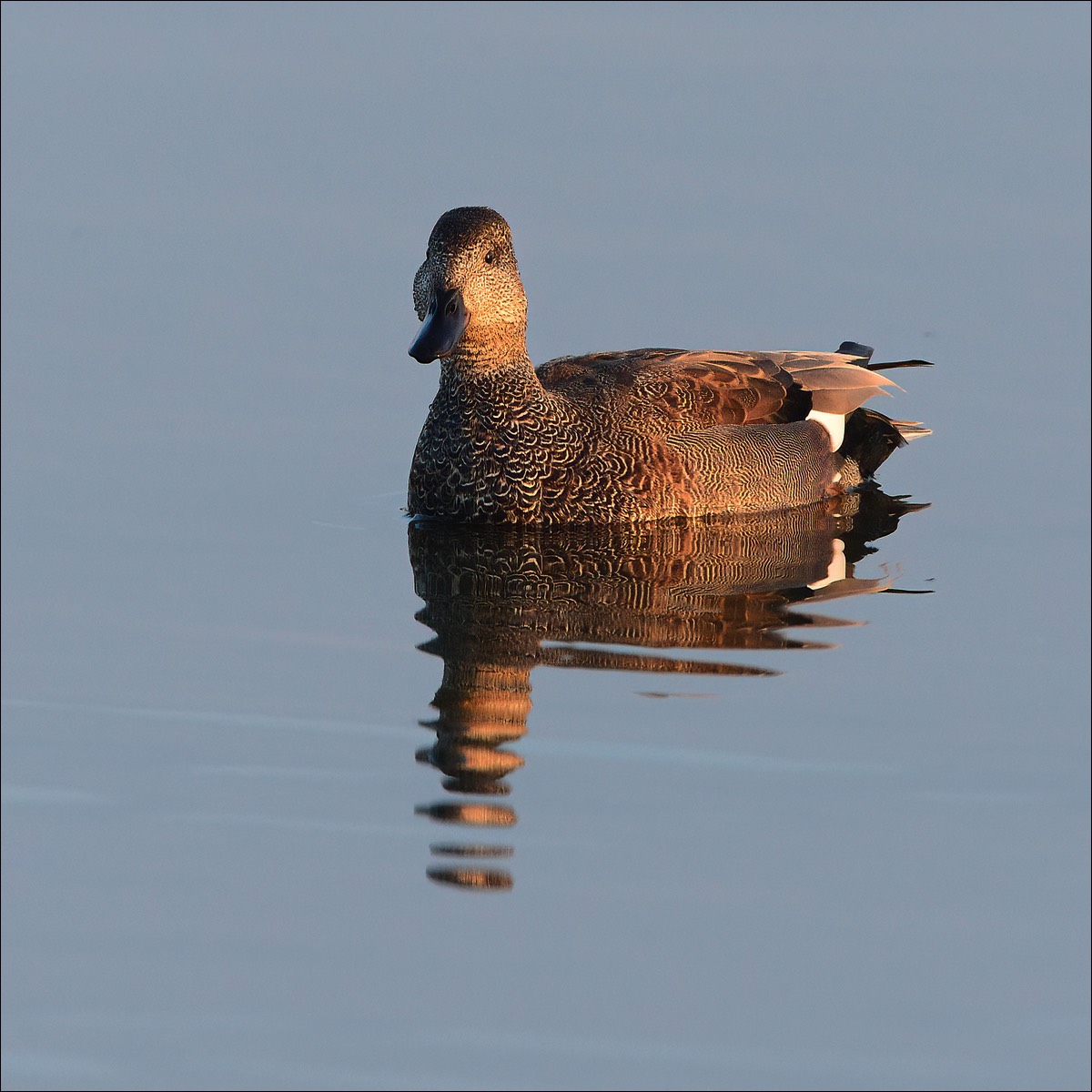 Stacks Image 110