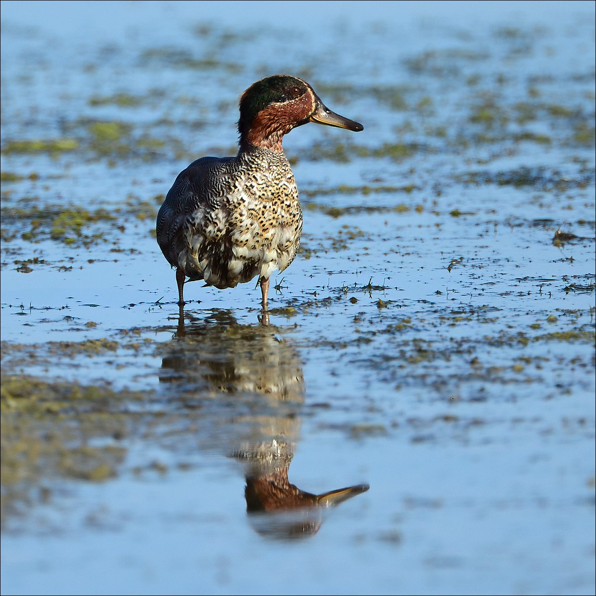 Stacks Image 86