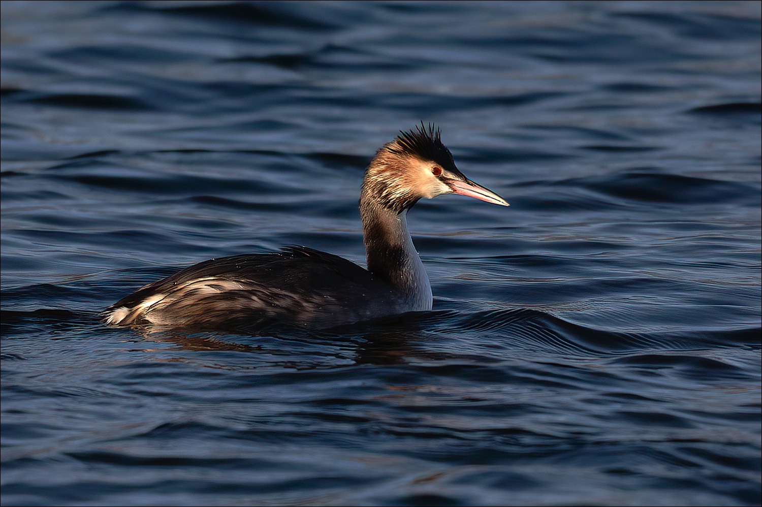 Stacks Image 90