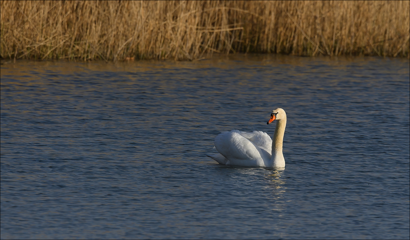 Stacks Image 71