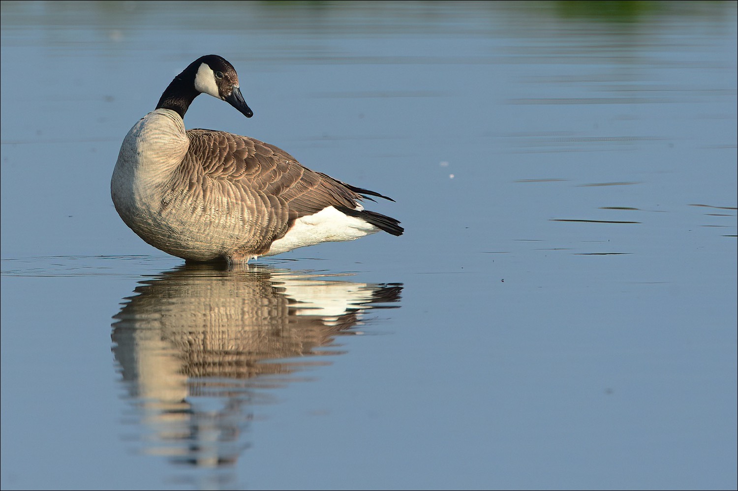 Stacks Image 146