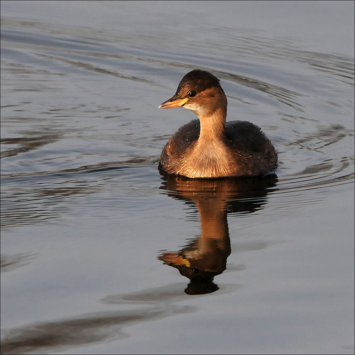 Stacks Image 109