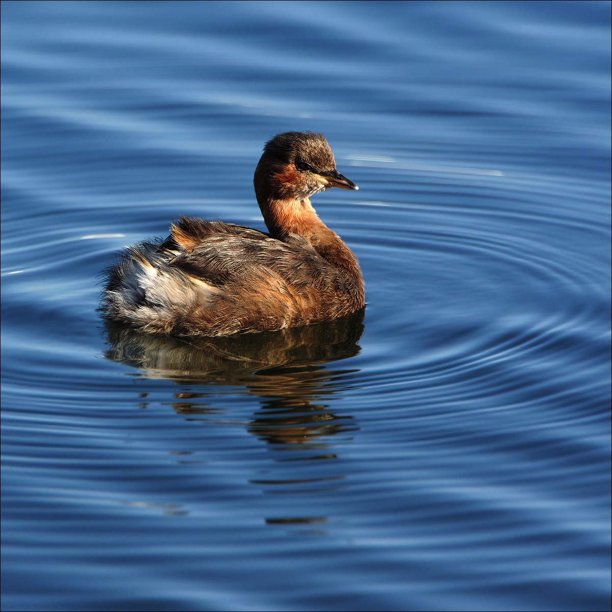 Stacks Image 143