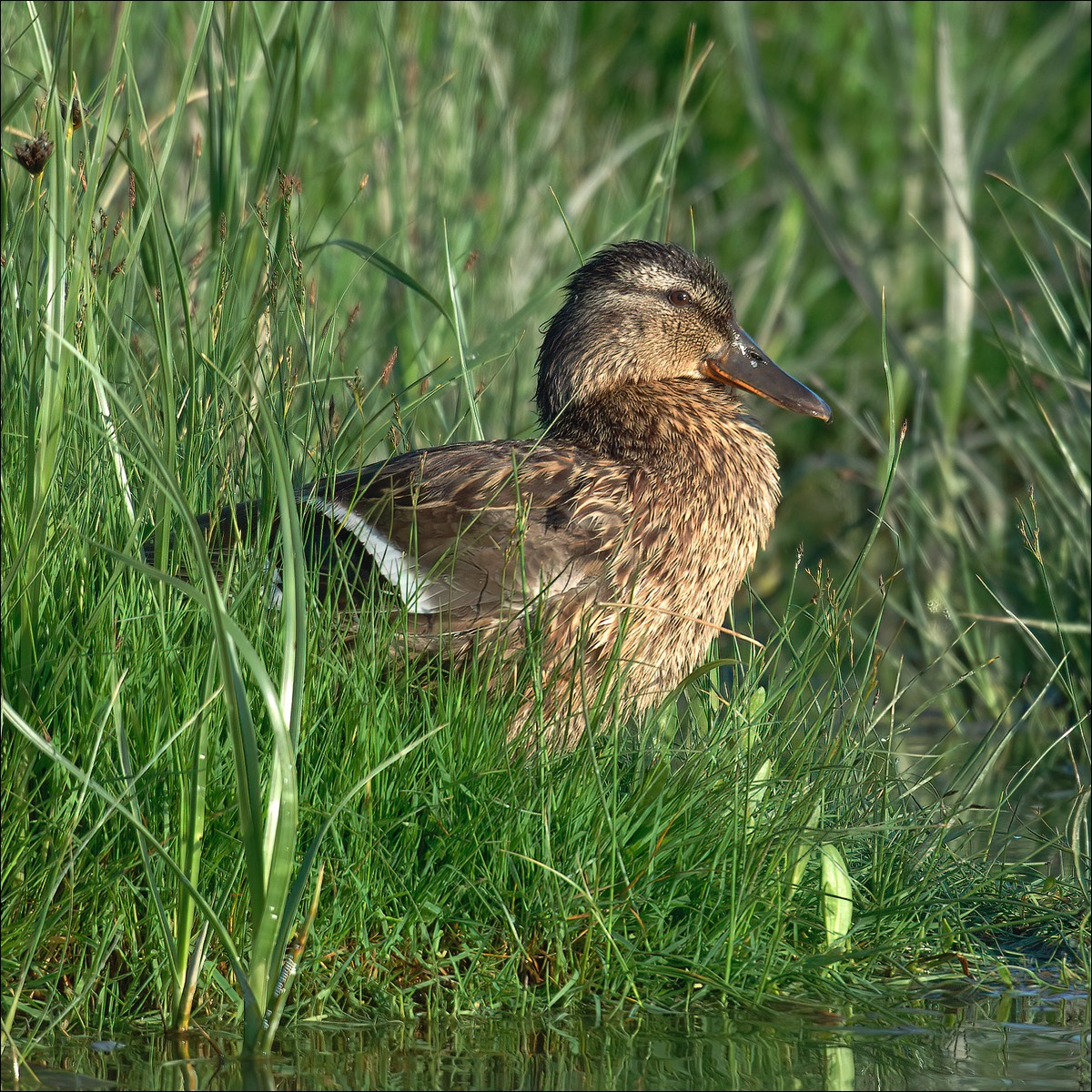 Stacks Image 118