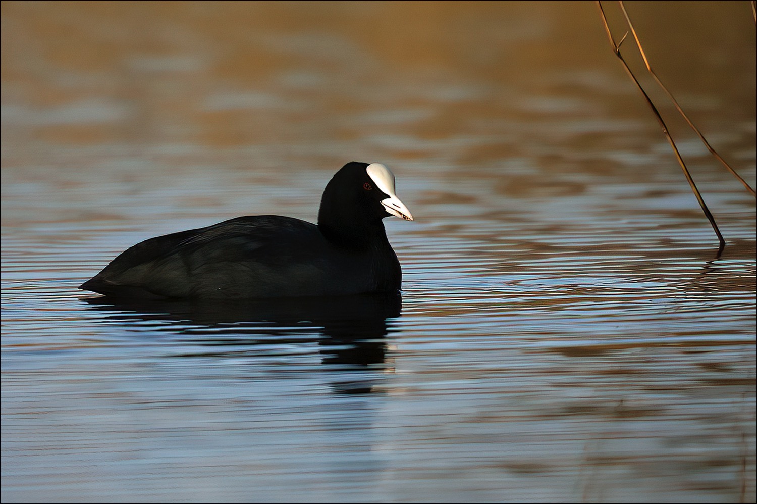 Stacks Image 130