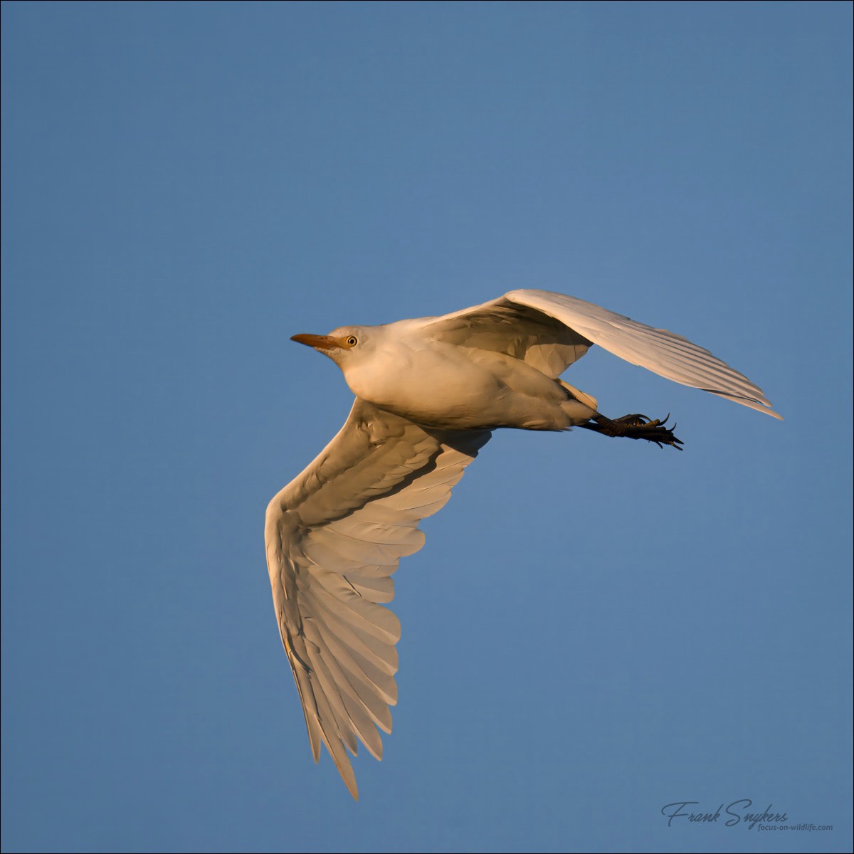Stacks Image 82
